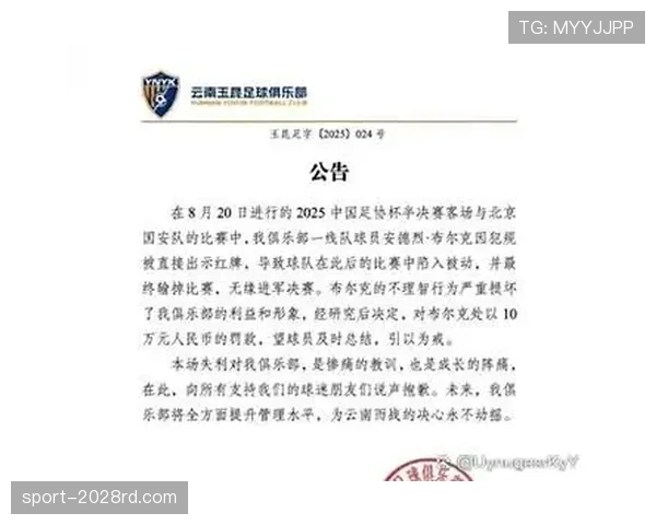 红牌停赛的规则细节及裁判判罚执行标准解析
